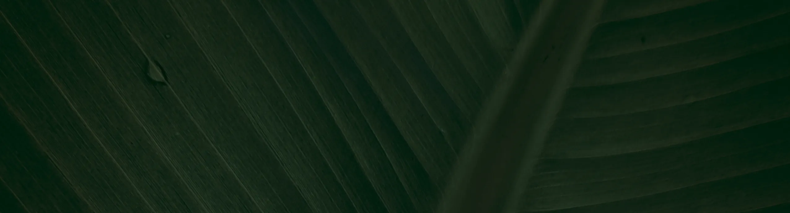 Artistic Face Vase with Greenery