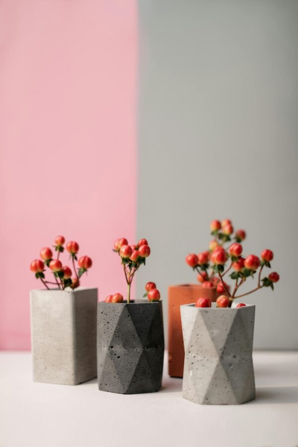 pexels-a-darmel-7223262 Geometric Concrete Mini Planter Set
