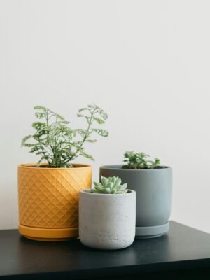 Contemporary Textured Planter Trio Set