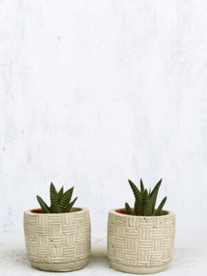 Minimal Ribbed Vase with Eucalyptus Stems