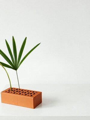 Monstera Leaf Decorative Plant Accent