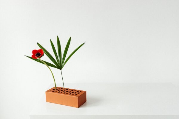 pexels-karola-g-7185831 Monstera Leaf Decorative Plant Accent