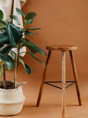 Mid-Century Wooden Plant Stand Stool