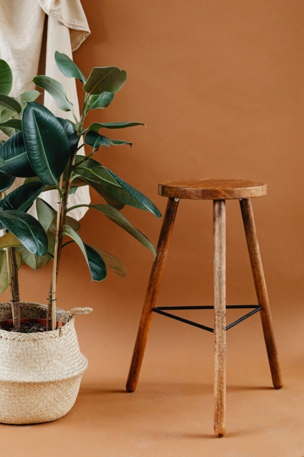 Mid-Century Wooden Plant Stand Stool