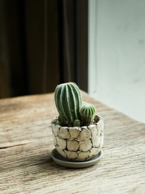 Minimal Stoneware Cup Planter with Decorative Stems