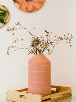 Terracotta Stripe Vase with Dried Wild Stems