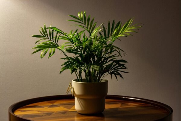 Modern Flowering Indoor Plant Pot