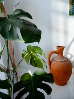 Cute Mini Cactus in Polka Dot Pot